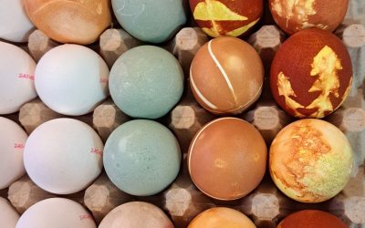 Ostern kann kommen – die bunten Eier sind schon da