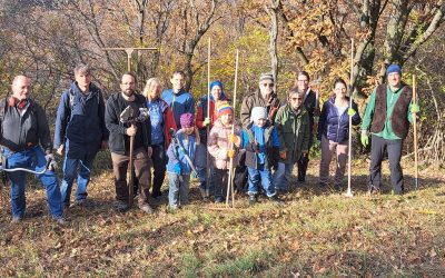 Mahd der Küchenschellenwiese