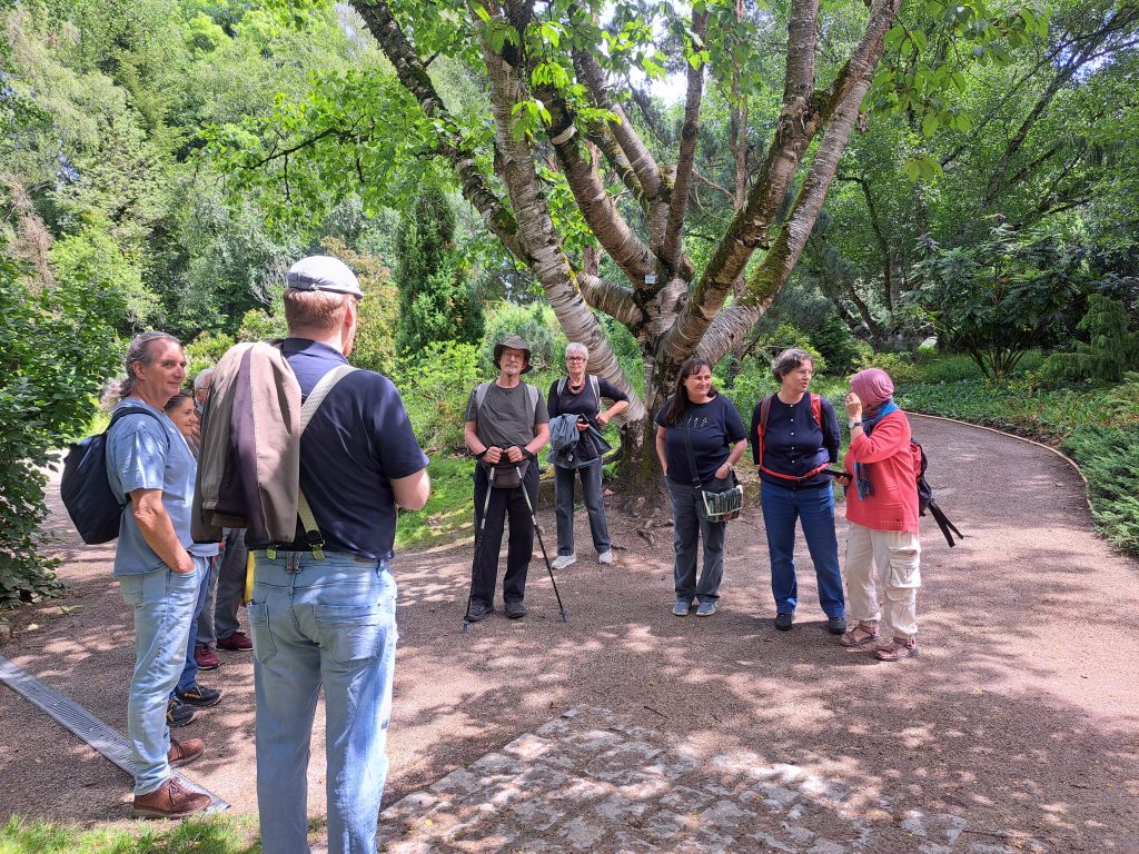 Sa, 13.06. | Exkursion Botanischer Garten Linz