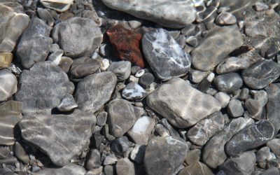 So, 22.3. | Kieselexkursion