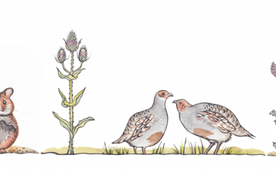 Vielfaltsoase Atzenbrugg 19.03 bis 21.03