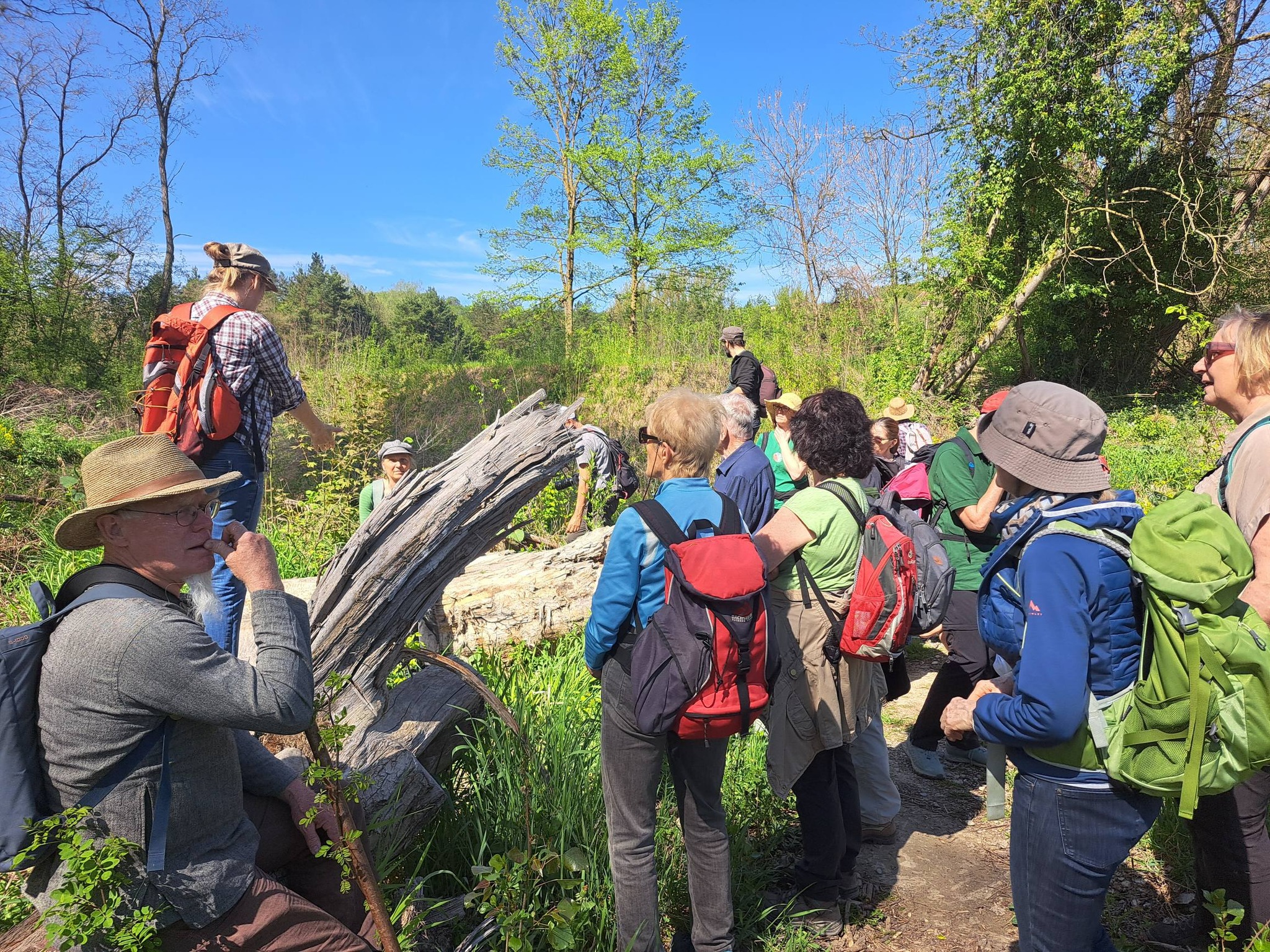 Sa, 25.04. | Exkursion Pielach