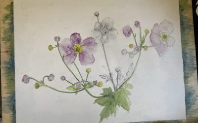 Sep 2026 | Aquarellmalkurs mit Marion