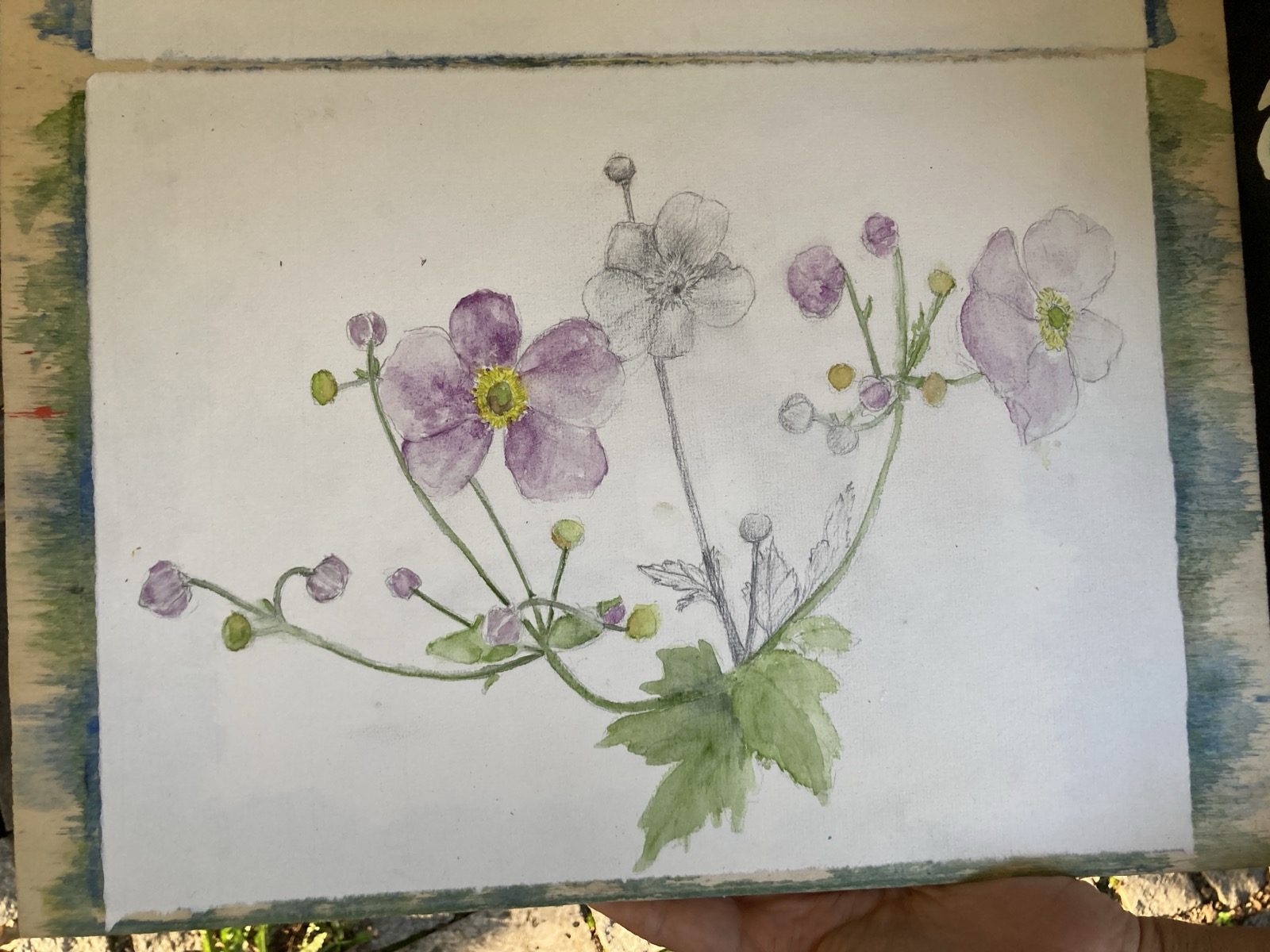 Sep 2026 | Aquarellmalkurs mit Marion