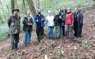 Pilzökologische Exkursion