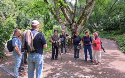 Sa, 13.06. | Exkursion Botanischer Garten Linz