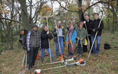 Küchenschellenwiese gemäht